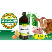 natural animal Health for livestock