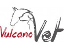 VulcanoVet  Healh