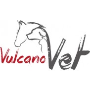 vulcanovet banner 
